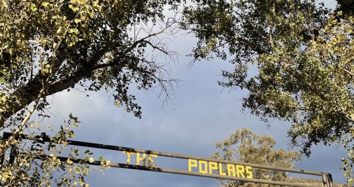 The Poplars